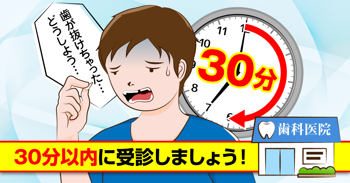 業界No.1歯の応急処置 歯のフルカバー その他